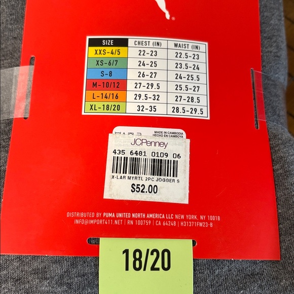 Puma Kids Color-block Hoodie and Jogger Set - Picture 4 of 4